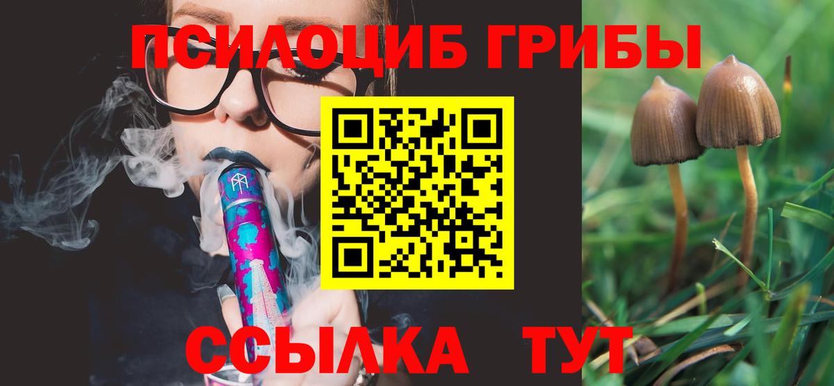 Галлюциногенные грибы мухоморы Видное