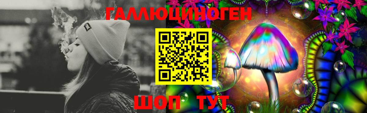 Галлюциногенные грибы мицелий  купить закладку  Видное  Вход с VPN 